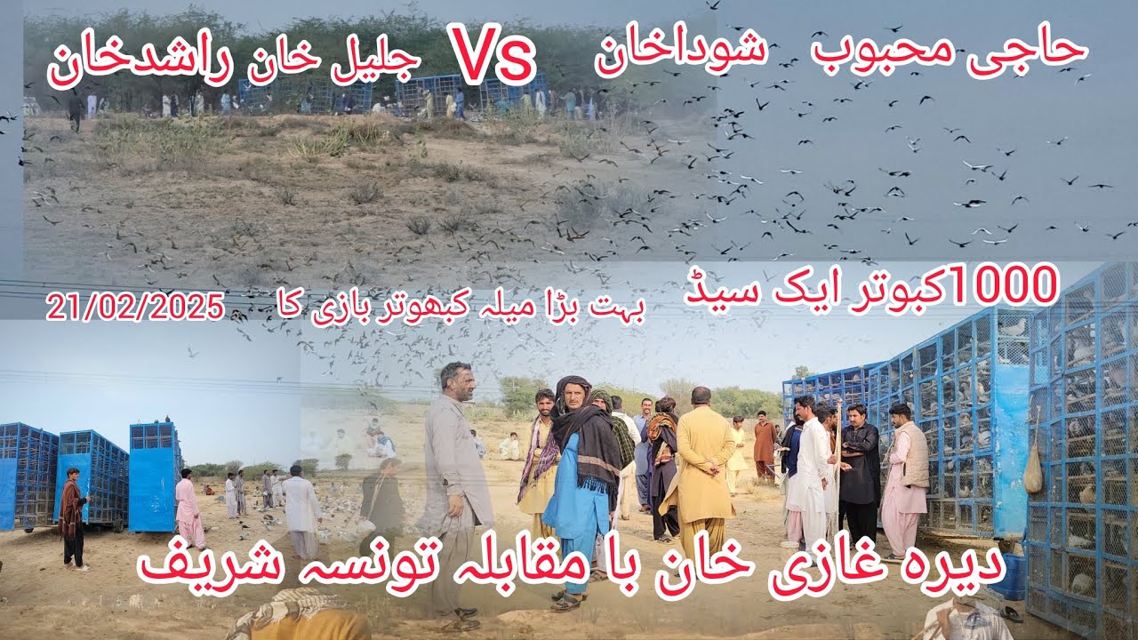2000 kabutar ka Bada Mukabala Jila Dera Ghazi Khan aur Jila kaun sa Sharif