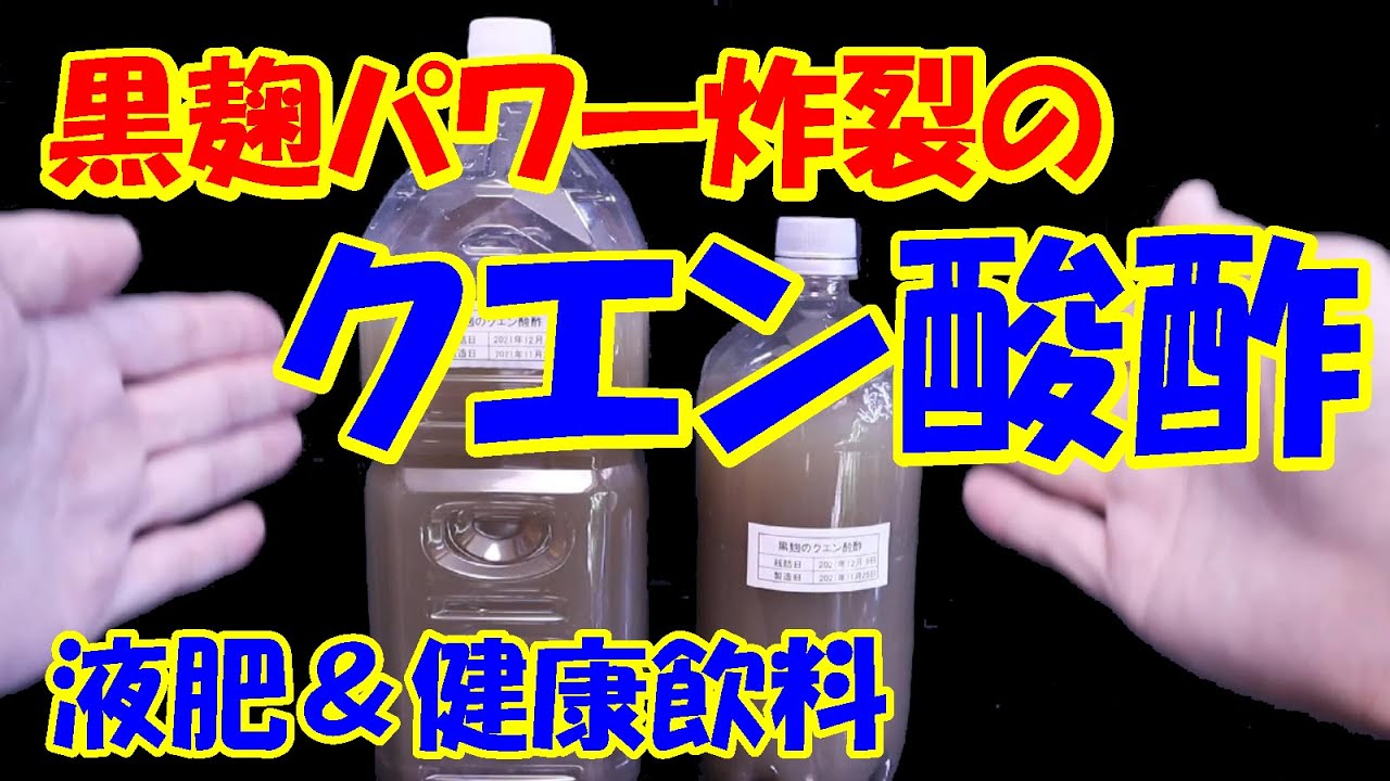 黒麹パワー炸裂のクエン酸酢 麹菌とクエン酸のＷパワー【液肥】【発酵飲料】
