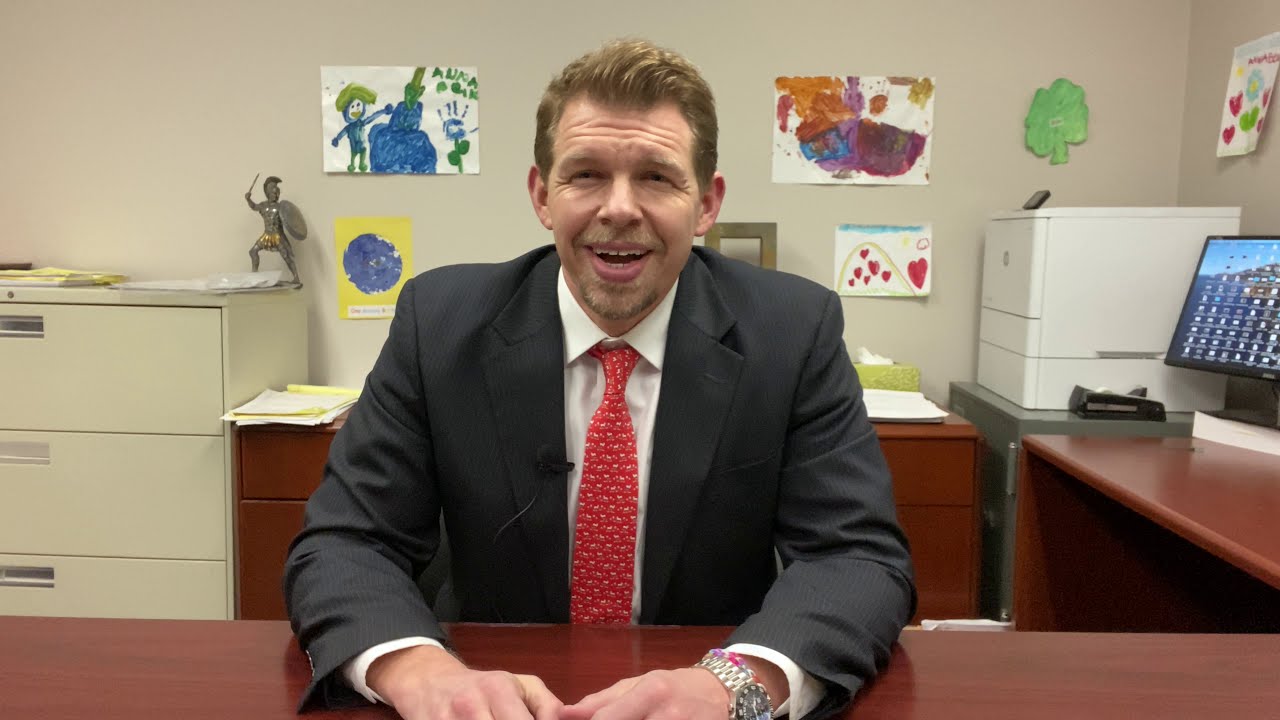 3 Types of Bed Bug Cases - Lawyer Explains - Whitney, LLP