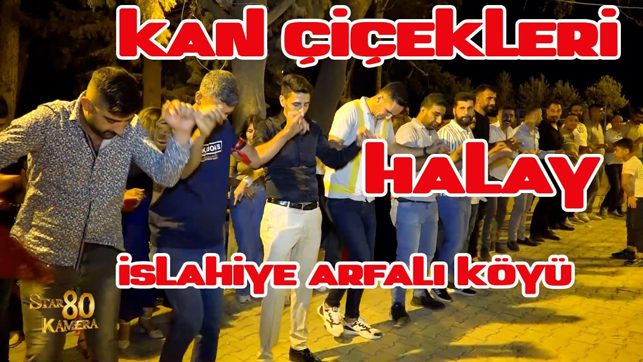 Kan Çiçekleri Halay İslahiye Düğünleri