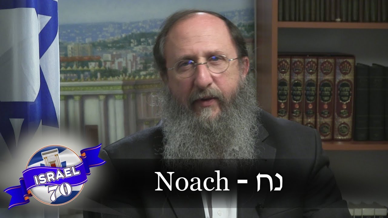 Weekly Torah Portion: Noach