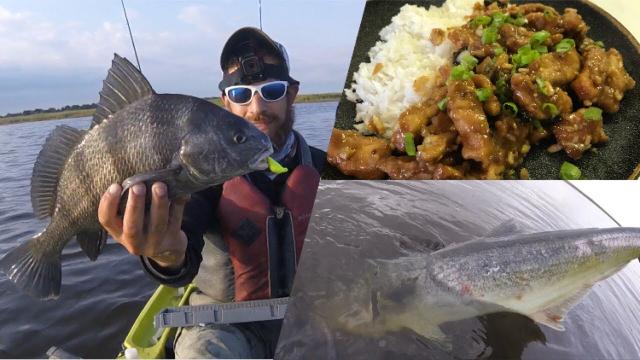 CATCH & COOK: General Tso's Drum + Bonus ZOMBIE Bluefish