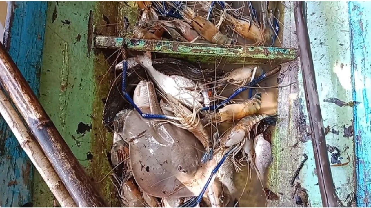 woow .Lobster​ and Fish.