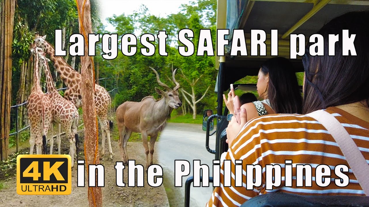 Cebu Safari and Adventure Park | Virtual Tour 4K | Carmen, Cebu Philippines