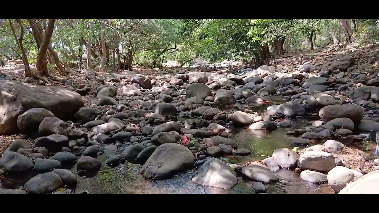 Se seco el río el naranjo😭😭🥵🥵🥵🥵