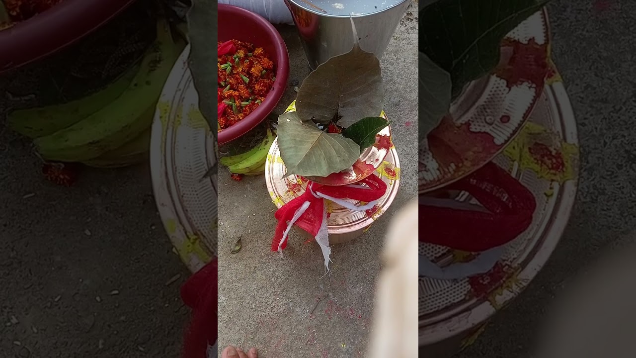 रुद्री पूजा पाठ 