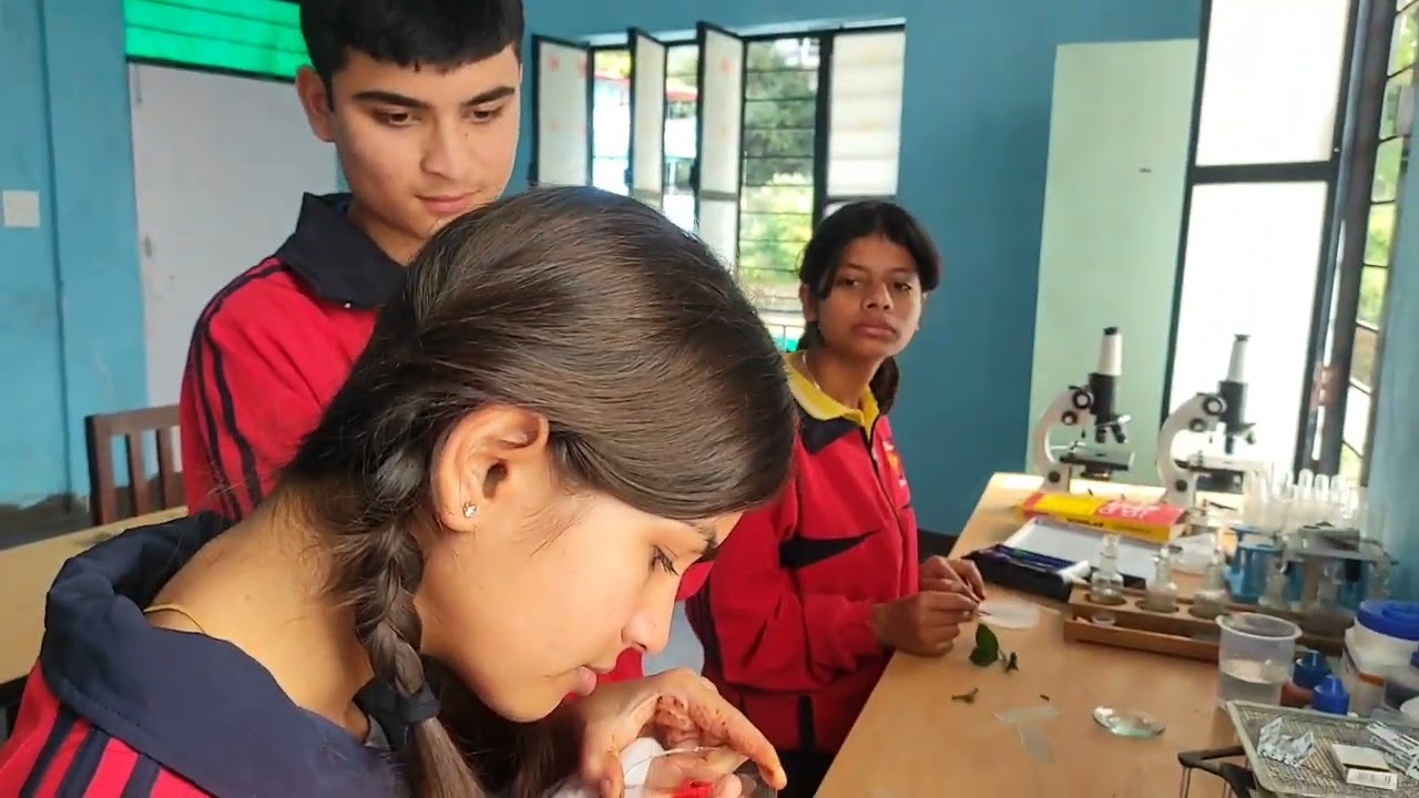 Permanent slide preparation of Dicot/monocot root/stem🌿by class 11th Biology Students #biology #11th