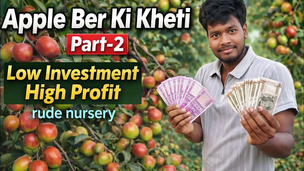Apple Ber Ki Kheti Part -2 Low Investment High Profit