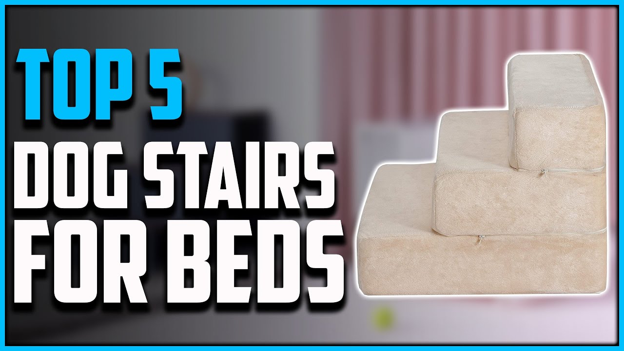 Top 5: Best Dog Stairs for Bed 2021