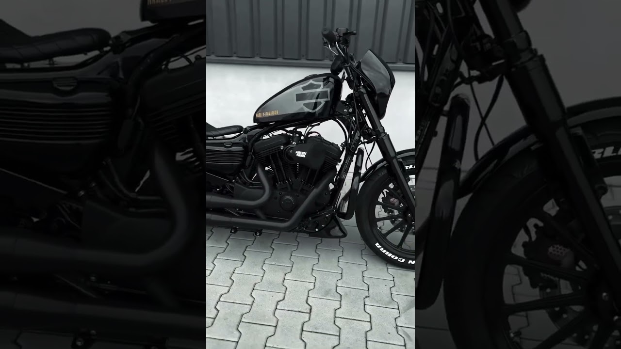 Harley Davidson iron 883 Modified || Family |~ Black on. Fire 