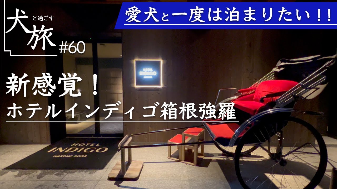 【ホテルインディゴ箱根強羅｜HOTEL INDIGO Hakone Gora】愛犬と泊まれる客室露天風呂付きのお部屋に宿泊！リバーサイドに佇む人気高級ホテルが最高すぎた
