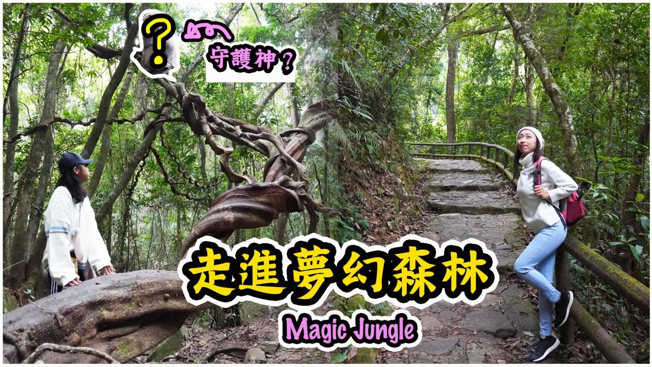 【超治癒】走進宮崎駿動畫！尋找藤王藤后！親子玩水高手行山｜大埔滘自然教育徑｜松仔園