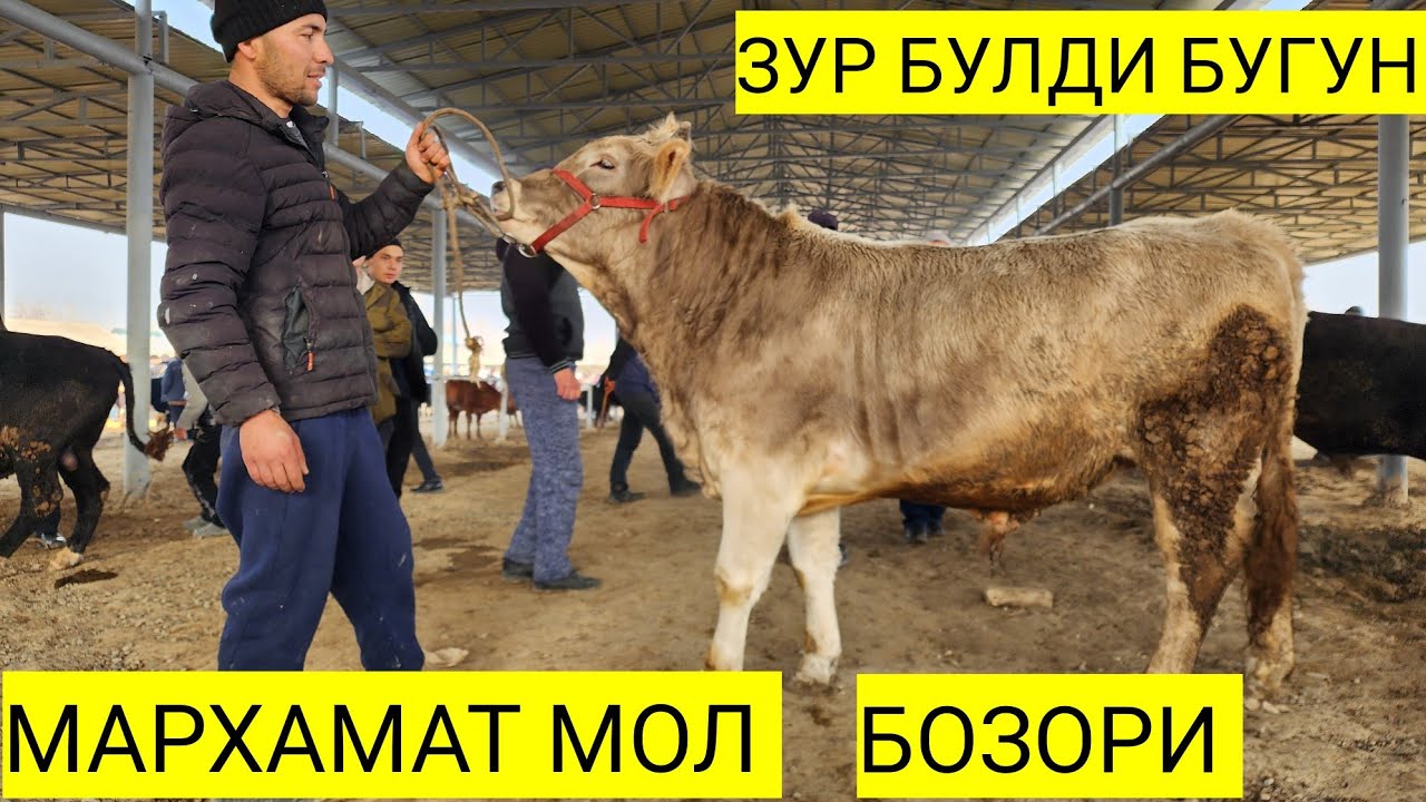 3-mart, 2026