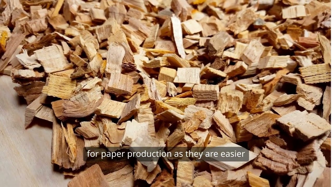 Model 13 II Mechanical Pulping II Paper Manufacturing II Education II Paper II Diploma II
