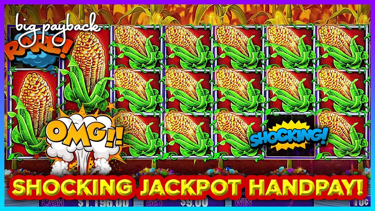 AWESOME JACKPOT on Cash Crop Slots! Could. Not. BELIEVE IT!