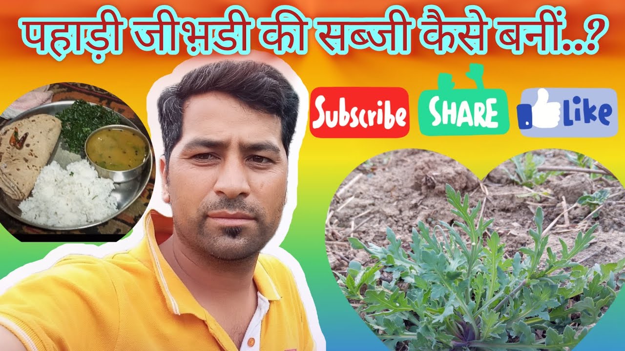 गांव में आज बनाया जीबड़ी की गजब सब्जी 🥰🌿🌱