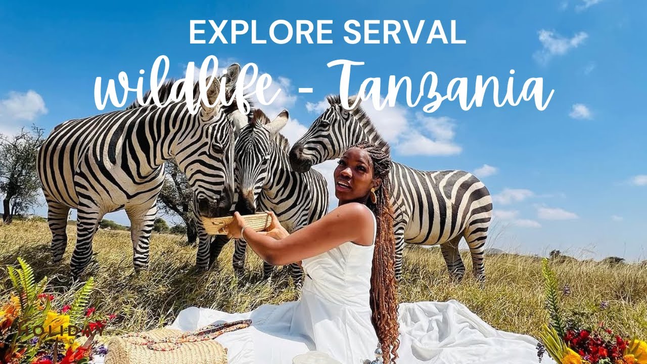 EXPLORE SERVAL WILDLIFE - TANZANIA