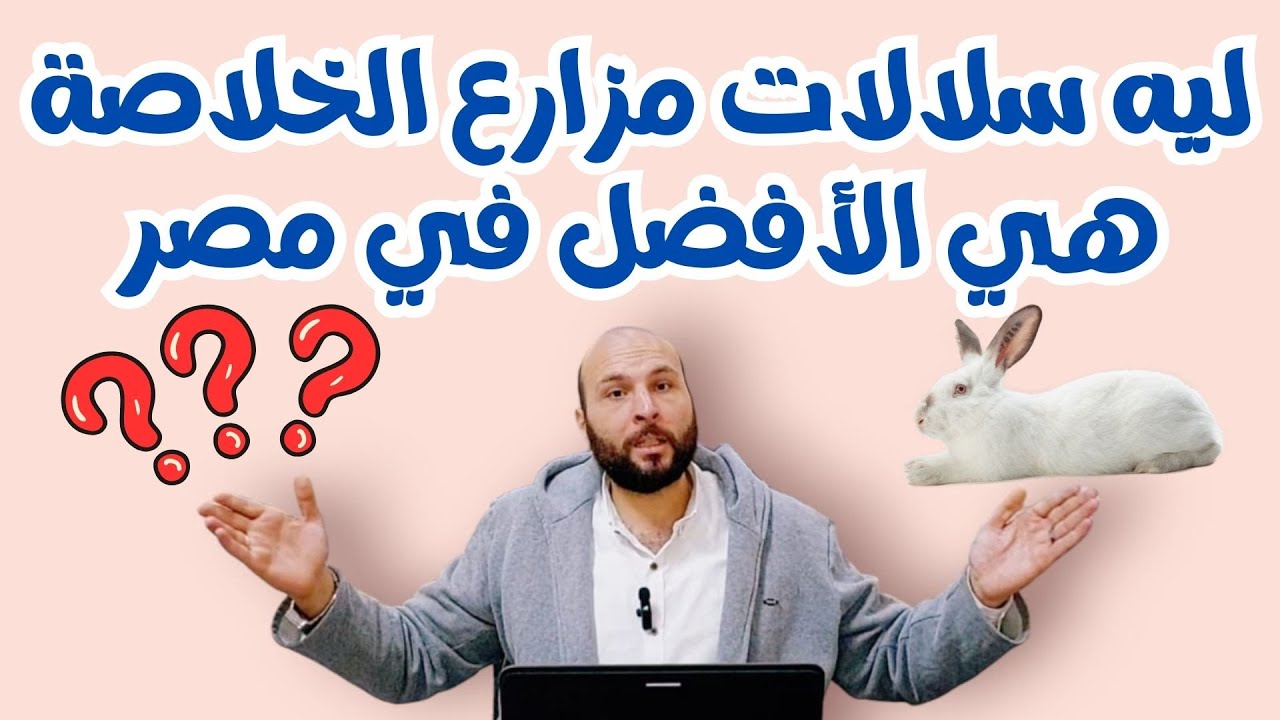 ليه سلالات مزارع الخلاصة هي الأفضل في مصر