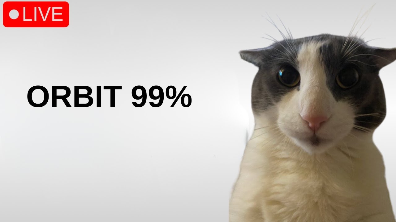 🔴ORBIT 99%🔴VERIFYING TODAY🔴stream TREE(3)