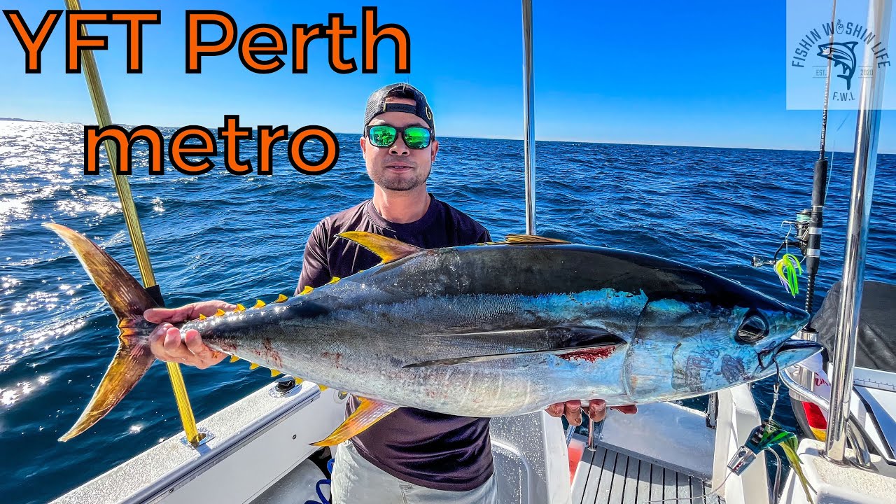 How we catch EPIC PERTH METRO YELLOWFIN TUNA | Fishing Western Australia | Pelagic action