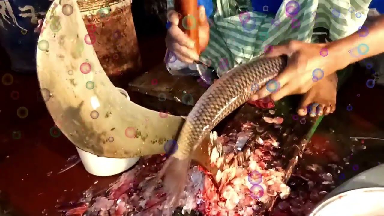 Live Mrigal Carp Fish Cutting Skills by a professional cutter l Fishing Art l