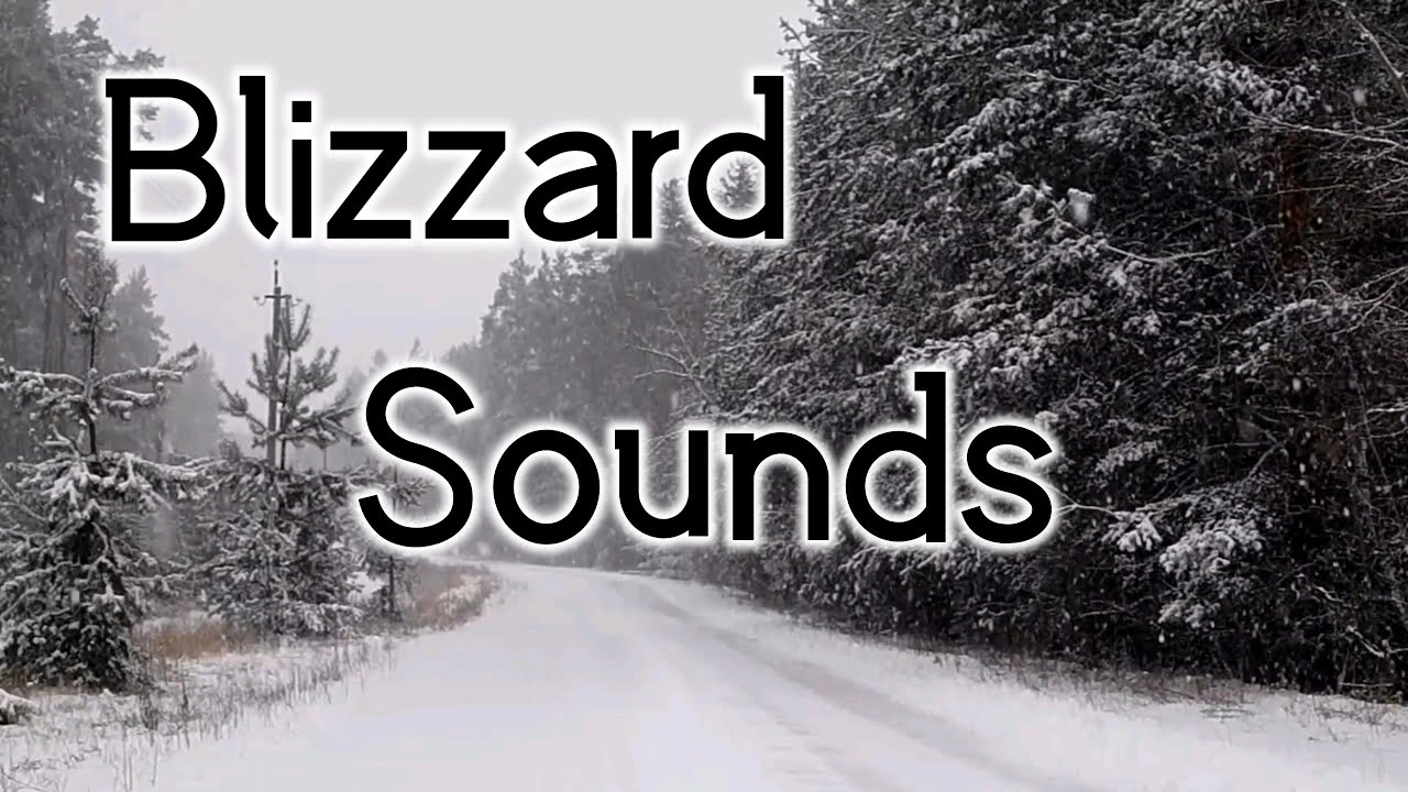Snowstorm Blizzard Sounds | Heavy Snowfall | | Falling Snowflakes | Forest Scenery | Relaxing, ASMR