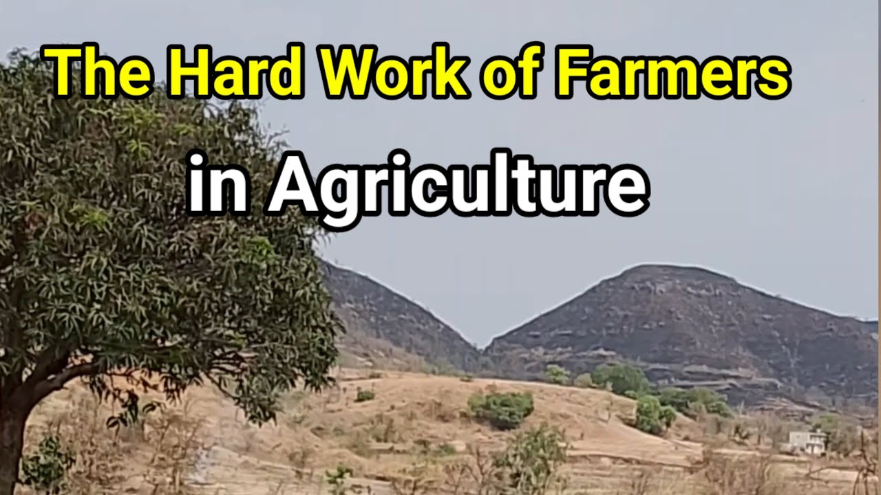 The Hard Work Amit farming blog. Daily vlog video. Farming vlog. Village vlog video. Village vlog 