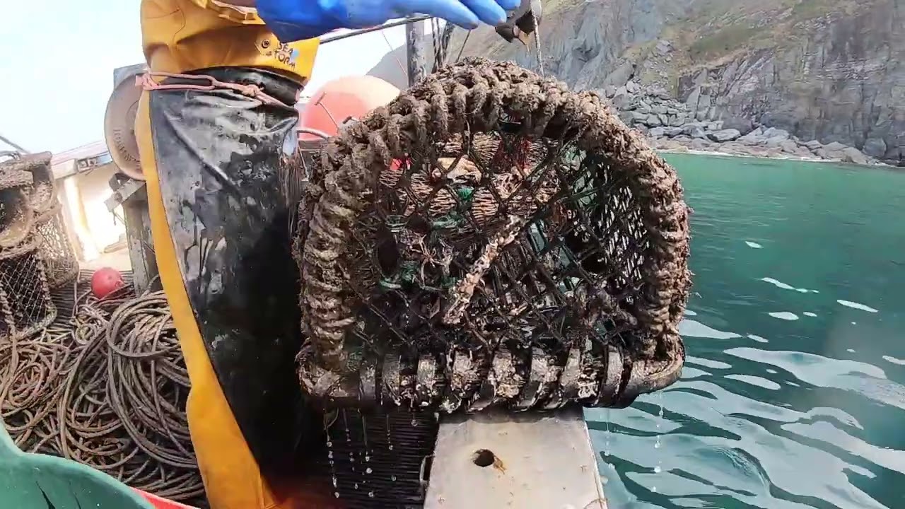 A day in the life of a Cardigan Bay Fisher