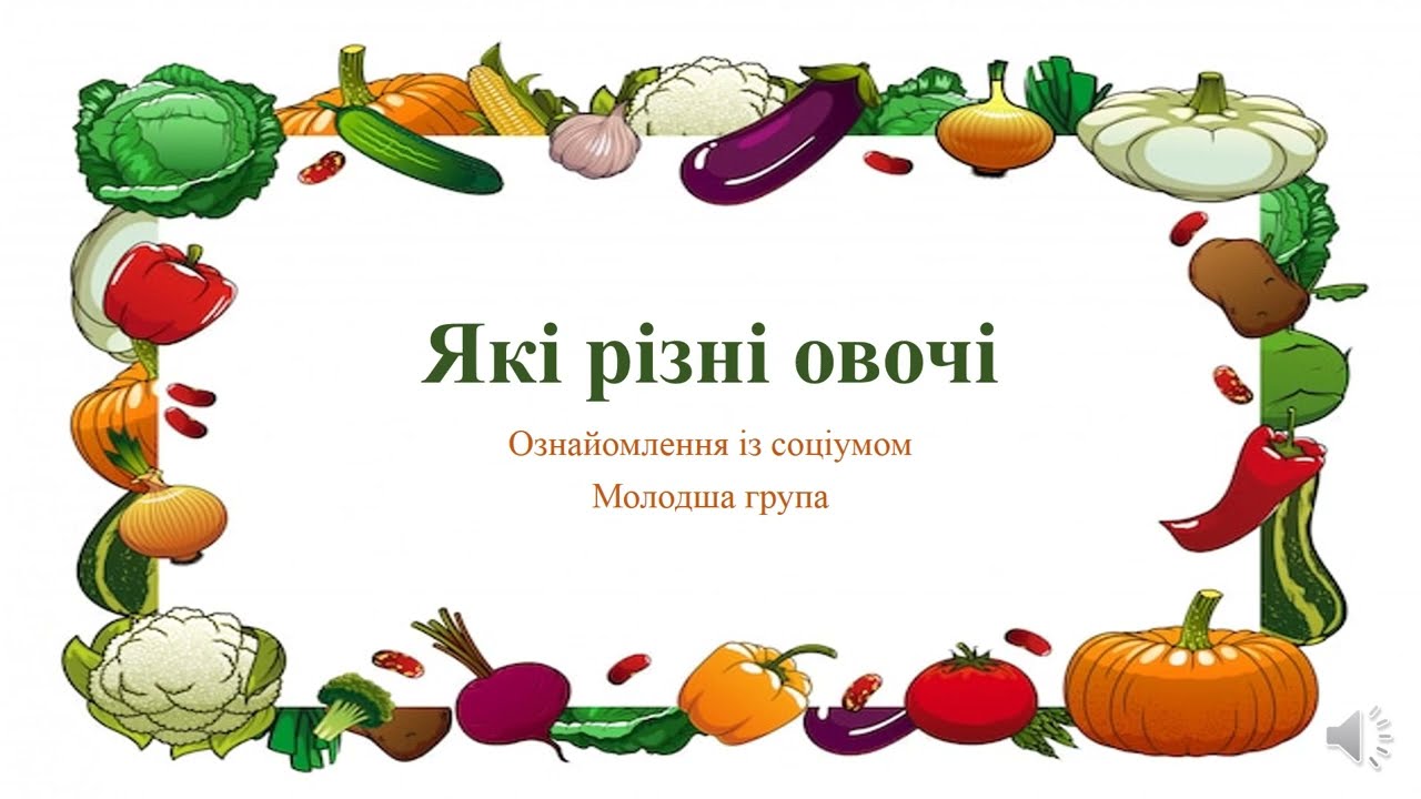 Відеозаняття з ознайомлення із соціумом 