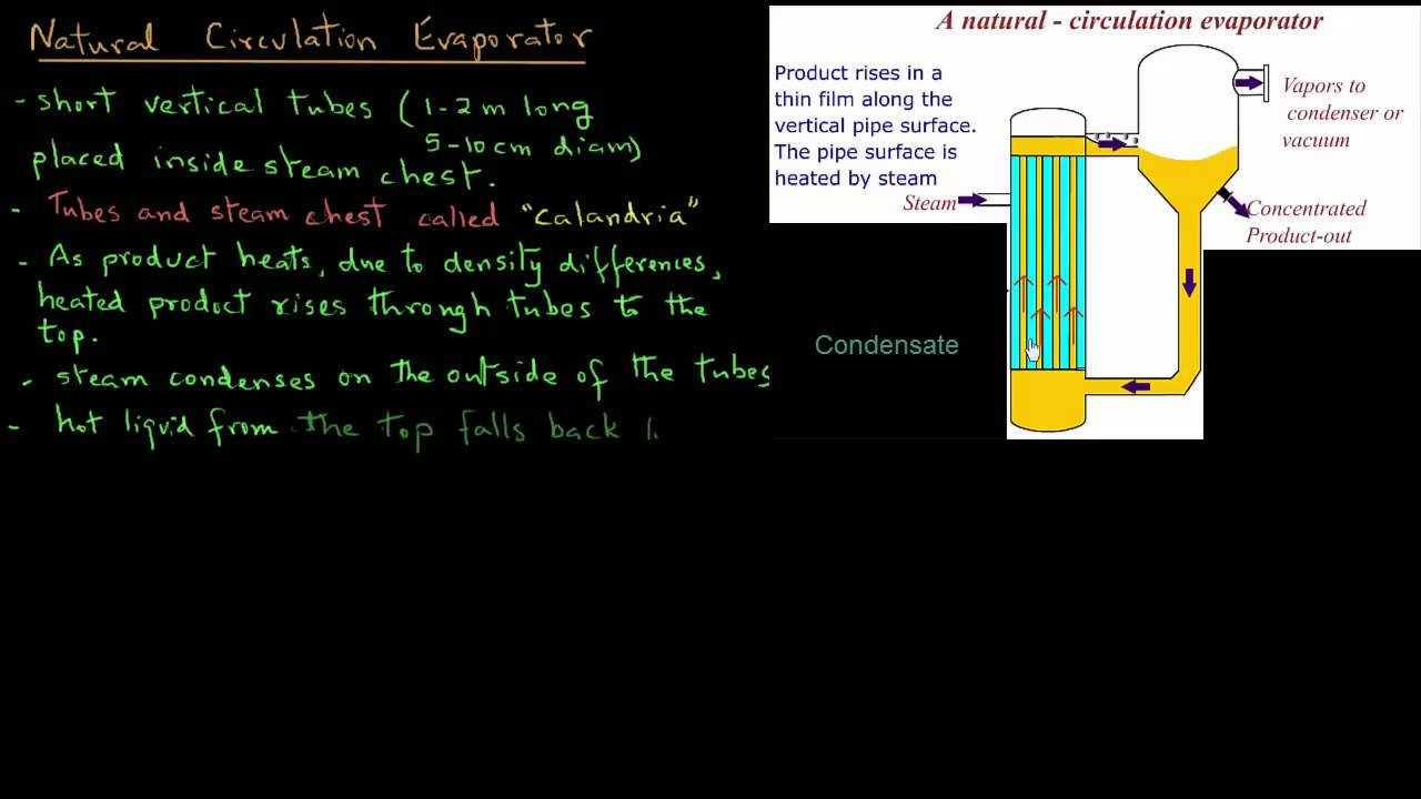 Natural Circulation Evaporator