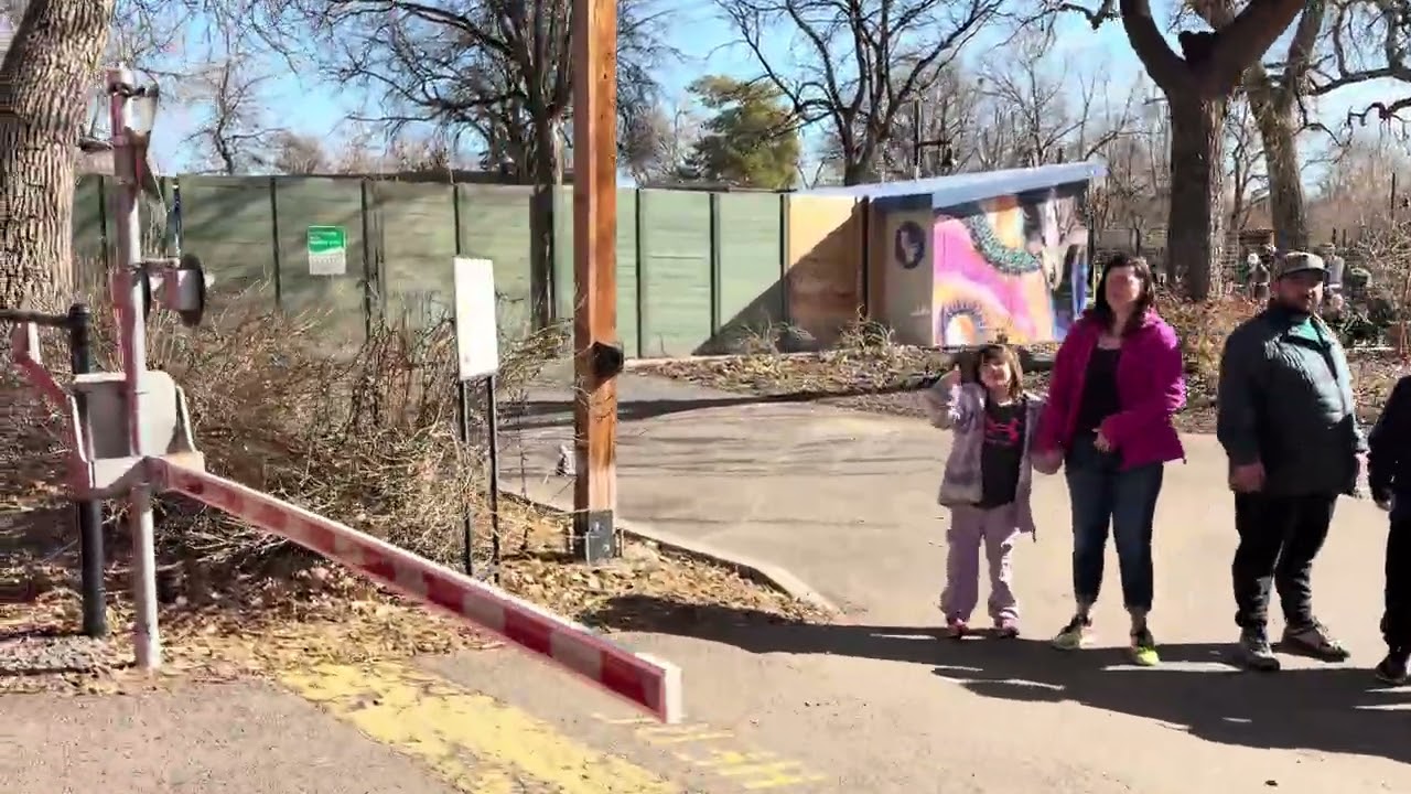An Epic Denver Zoo Train Ride