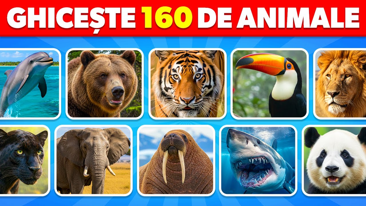 Ghicește 160 De Animale În 3 Secunde 🐶🦁✅ | Ușor, Mediu, Greu, Imposibil