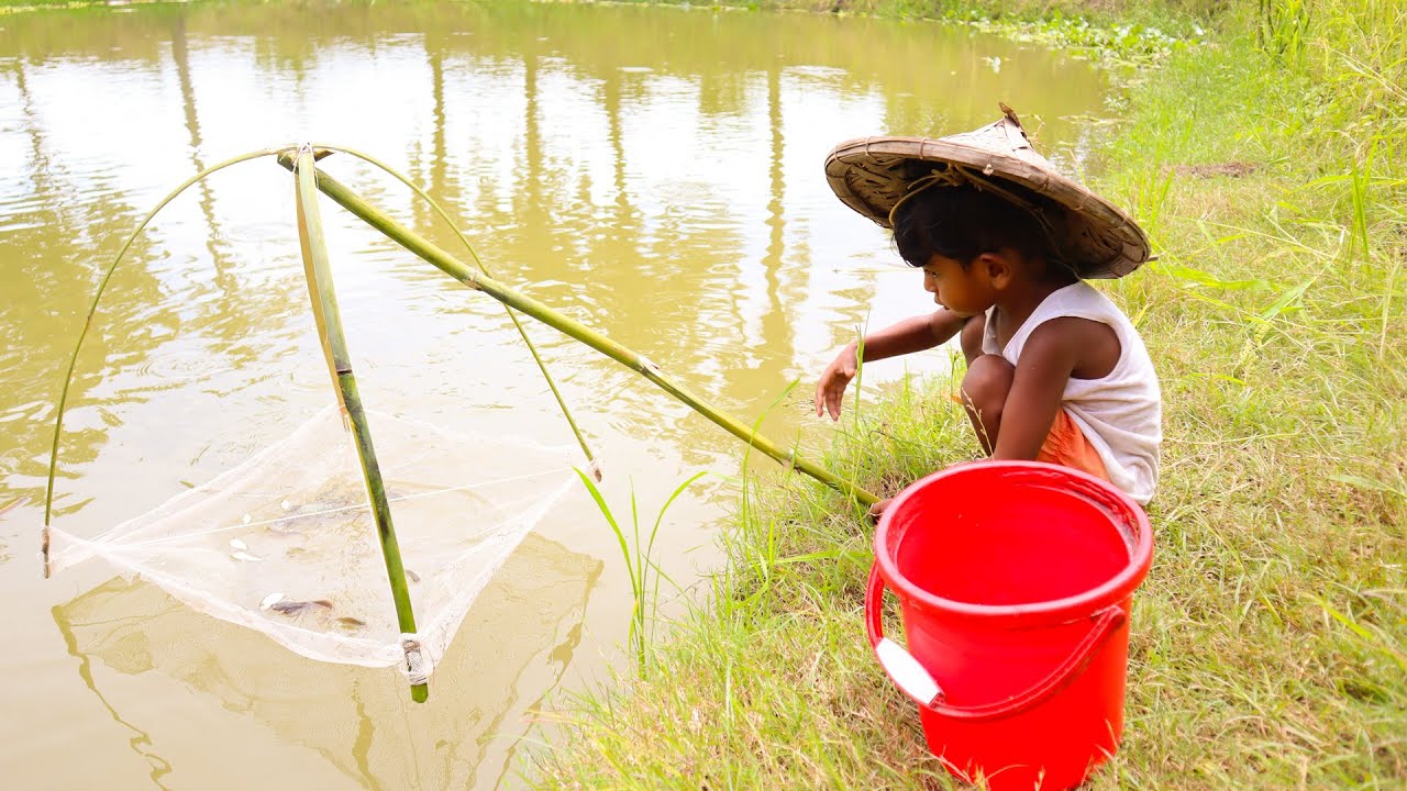 Amazing Hand Net  Fish Trapping | Village Little Girl Net Fishing in Rainy Season Water