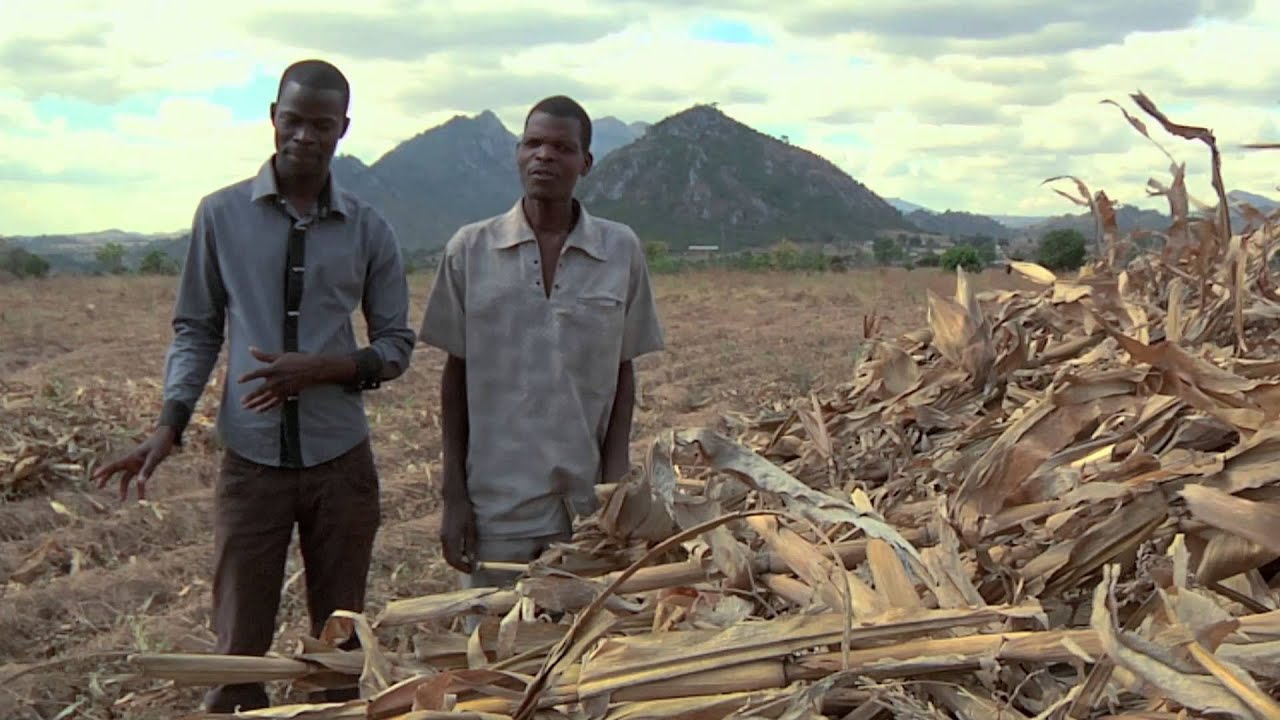 Conservation Agriculture