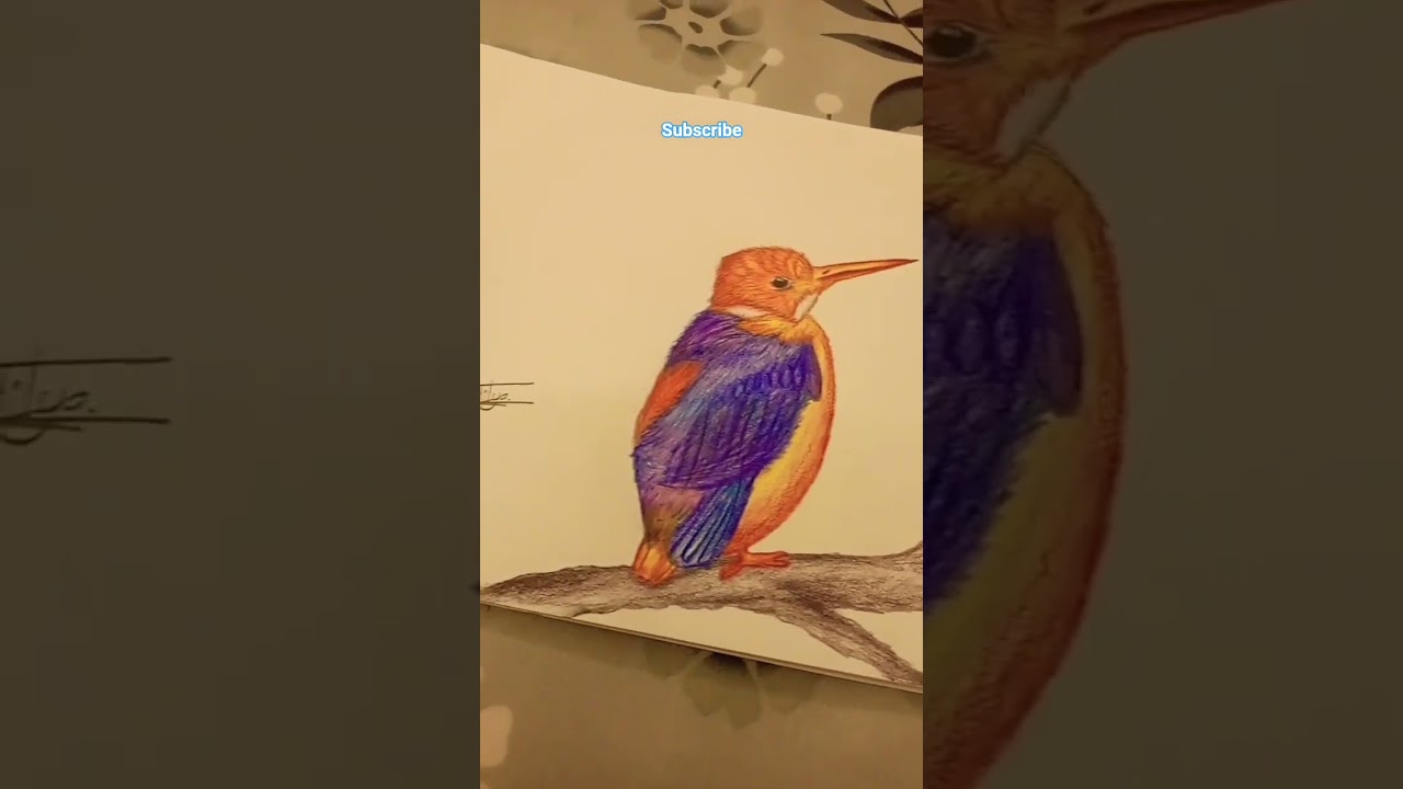 realistic bird drawing part 2❤️