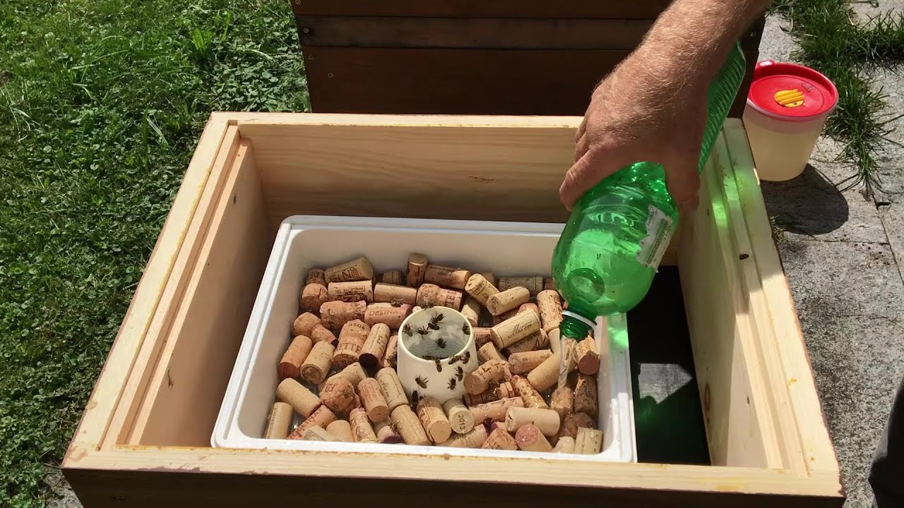 Fütterung