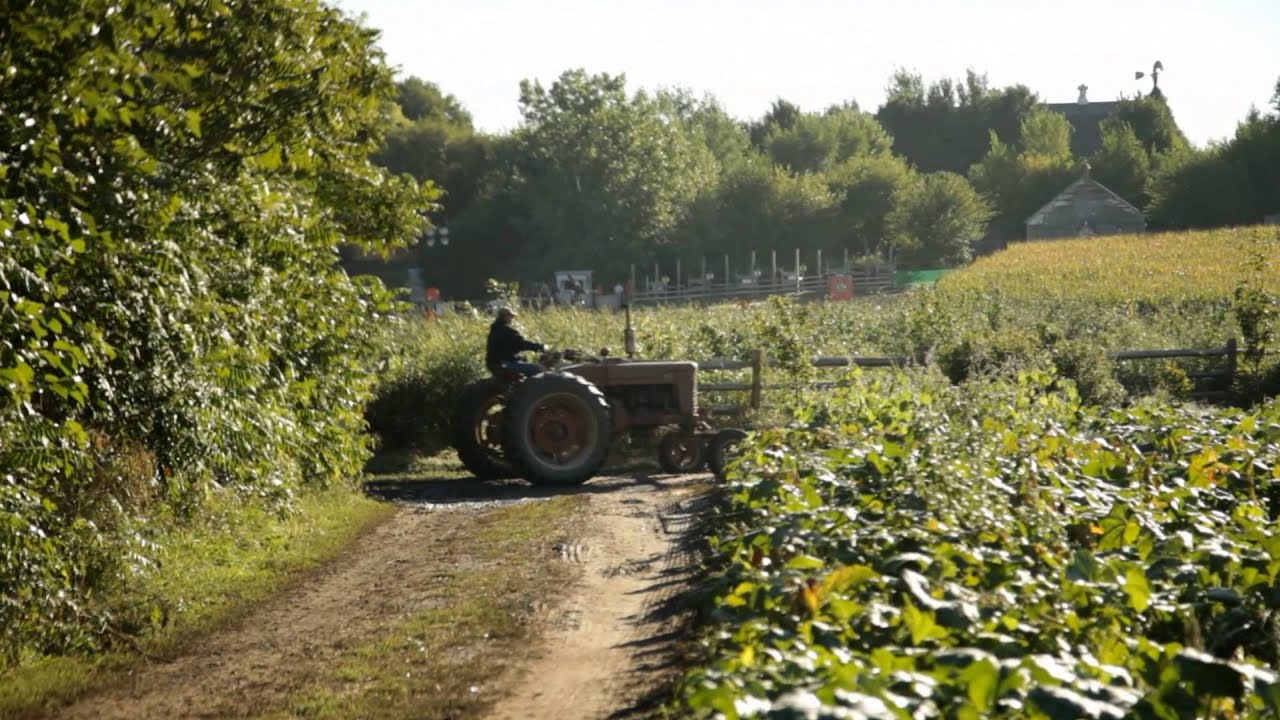 Gretna: Vala's Pumpkin Patch