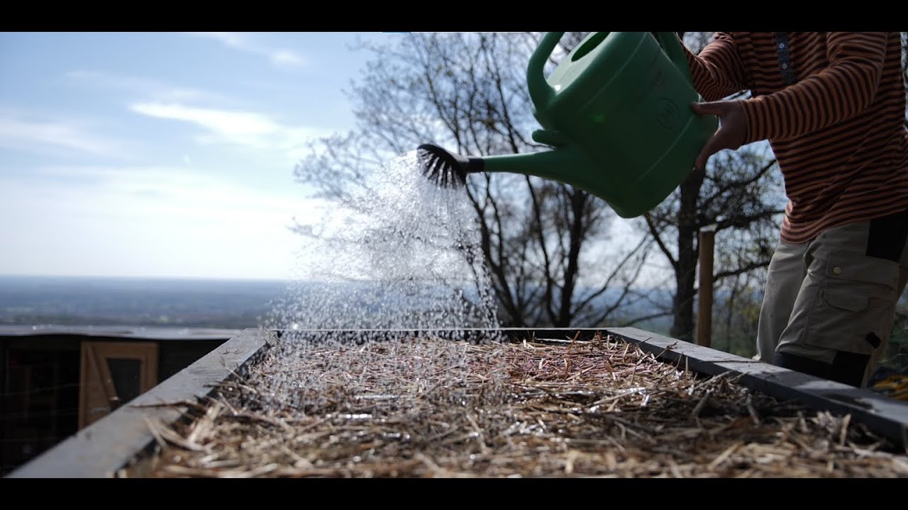95. egy majdnem kimaradt epizód: répa, hagyma, retek vetése / sowing carrot, onion, radish