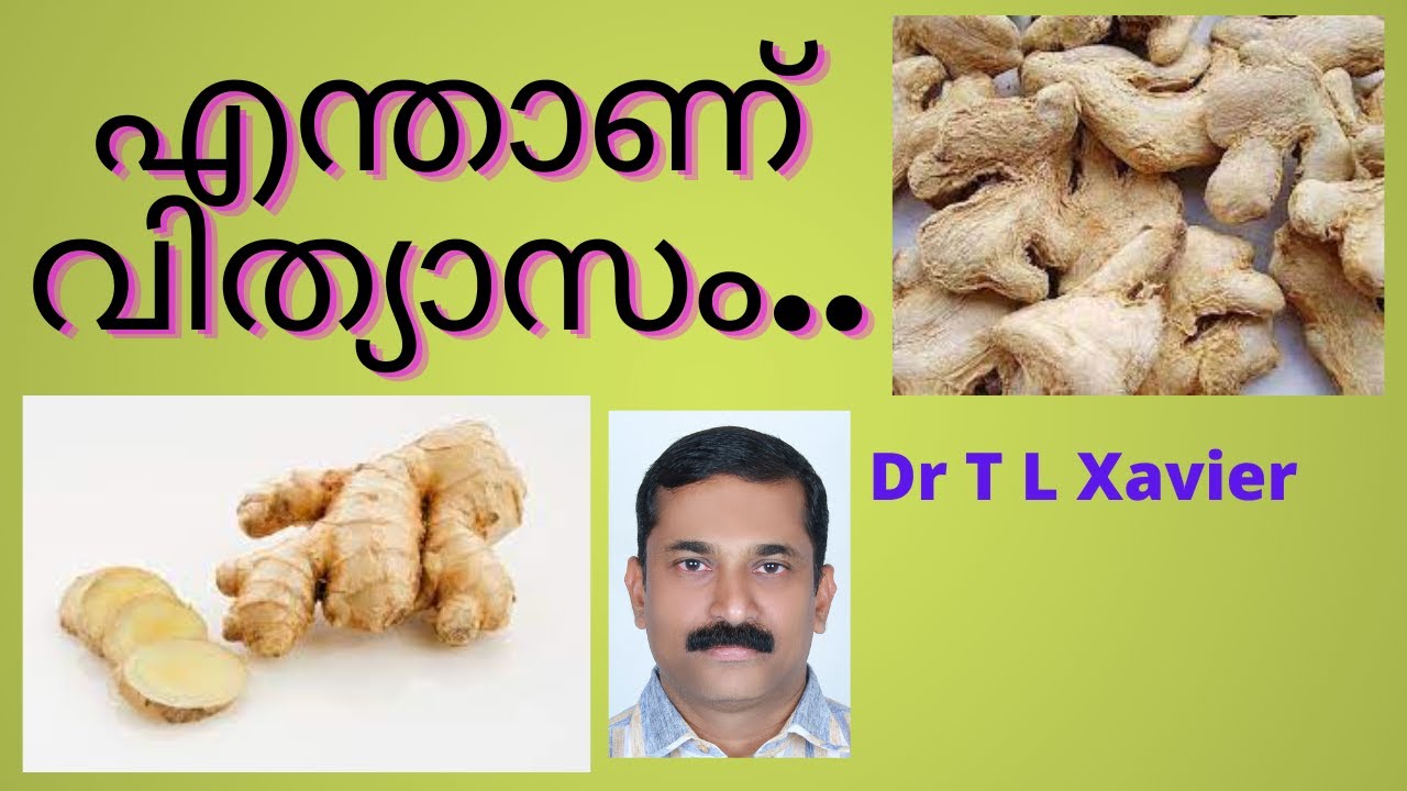 How It Differs Ginger and Dried Ginger - How They Work on Your Body