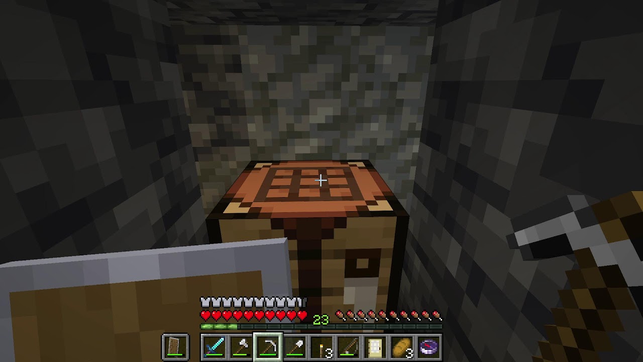 Minecraft Shenanigans