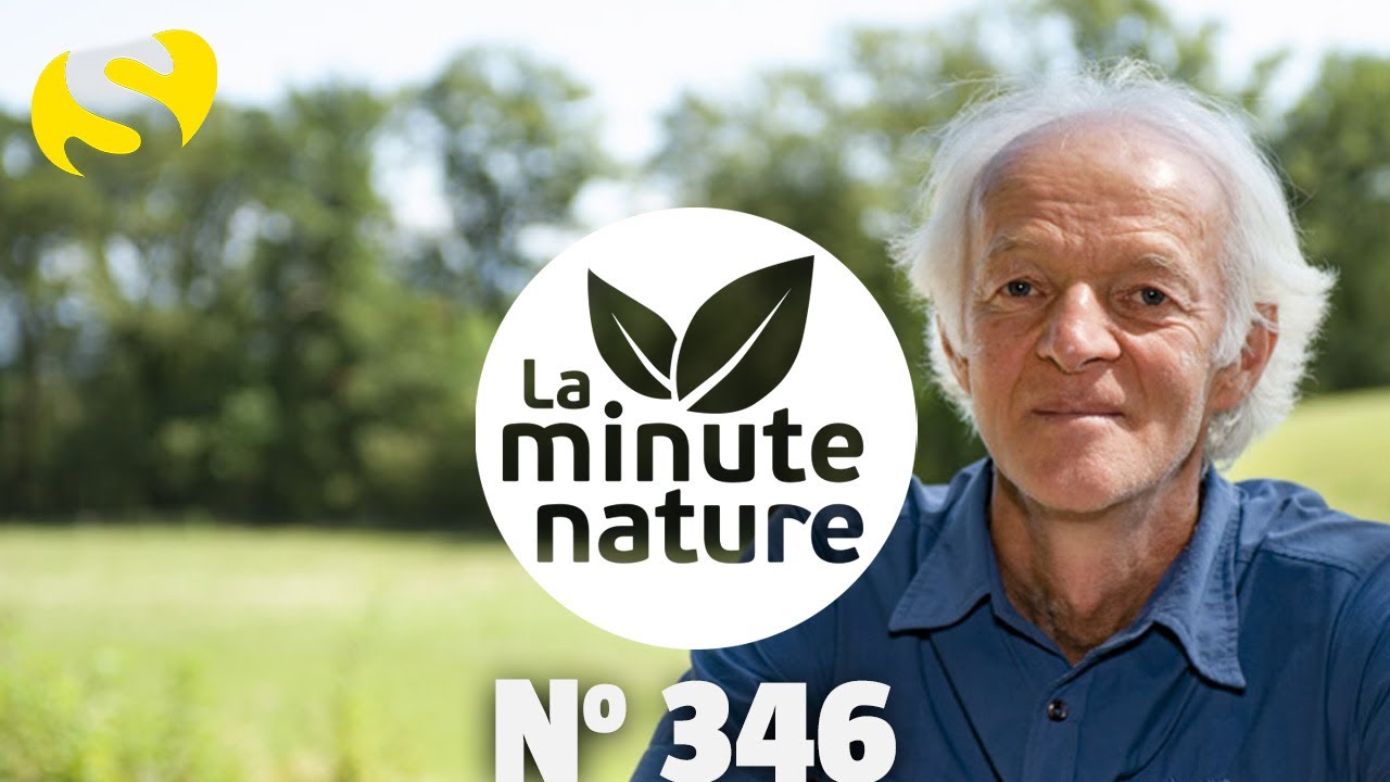 MARCHE, NOMBRE D'OR ET FEU AVEC ERNST ZÜRCHER (No 346)