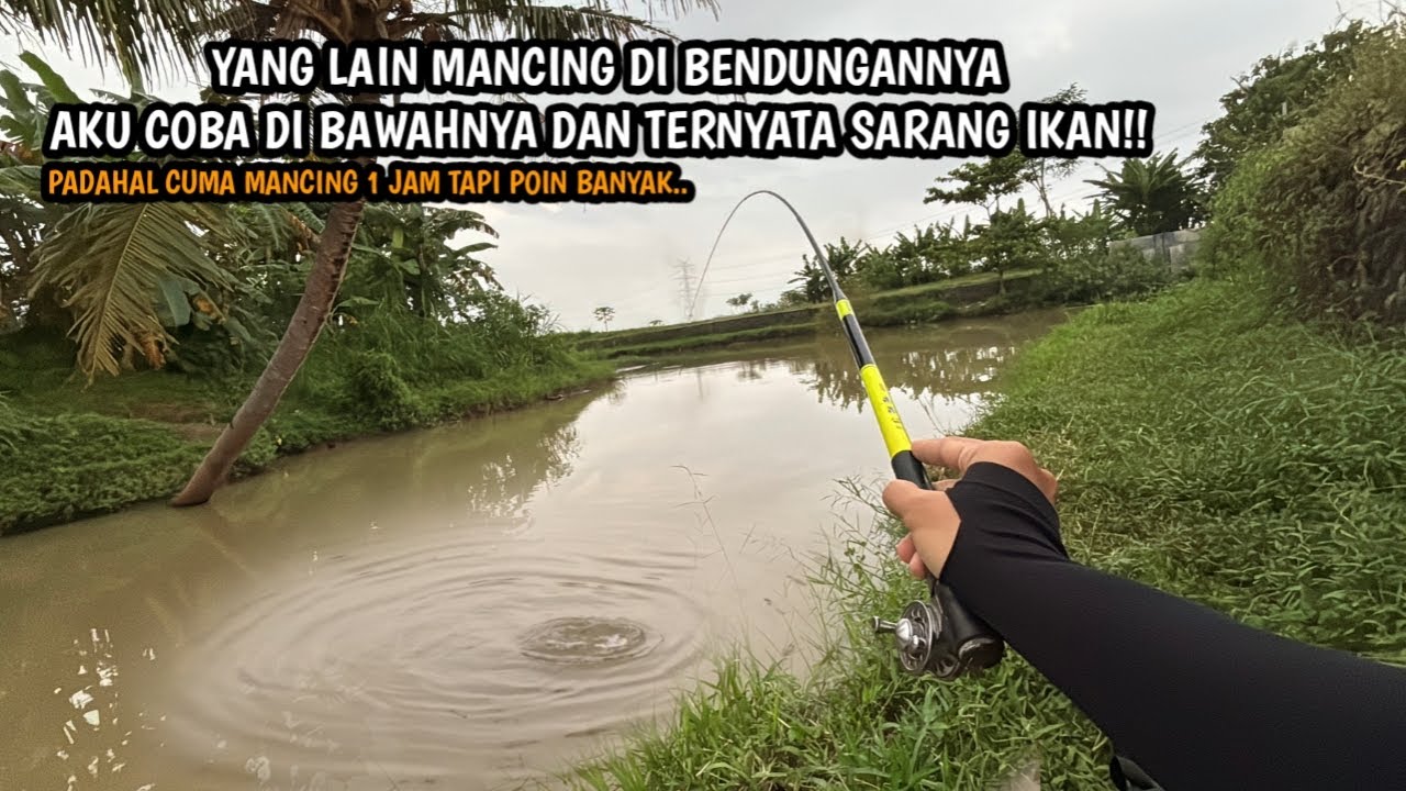 SEPANJANG BENDUNGAN KEBAWAH ISINYA FULL IKAN!! Mancing wader teknik kumbul di spot air keruh Grabag