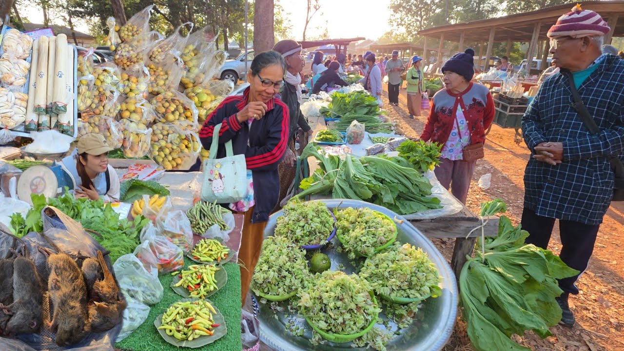 อาหารอีสานตามฤดูกาล วิถีชาวบ้าน ตลาดเช้าขุมคำ อำเภอกุดข้าวปุ้น อุบลราชธานี