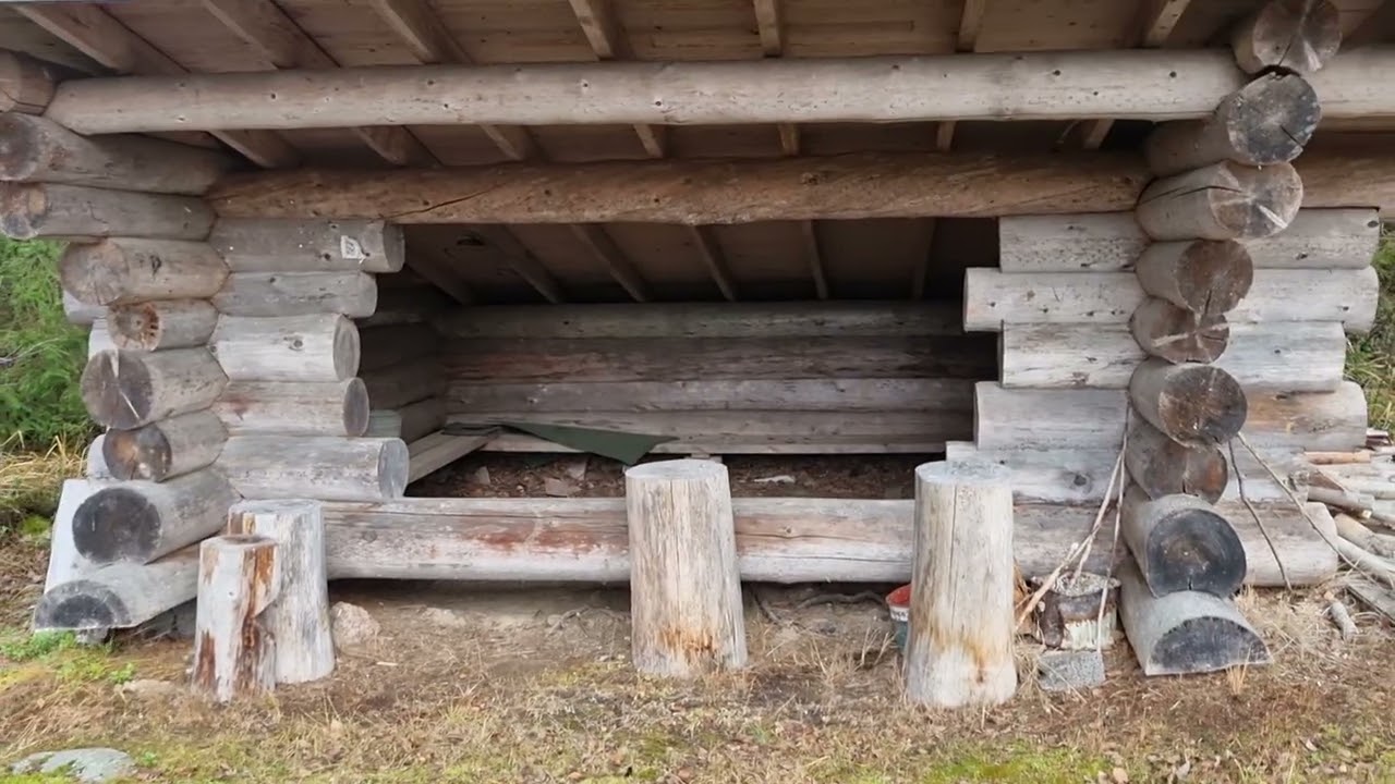 Pytinkilounasta, lupiinitsekkaus ja tulevasta kesästä mietteitä 