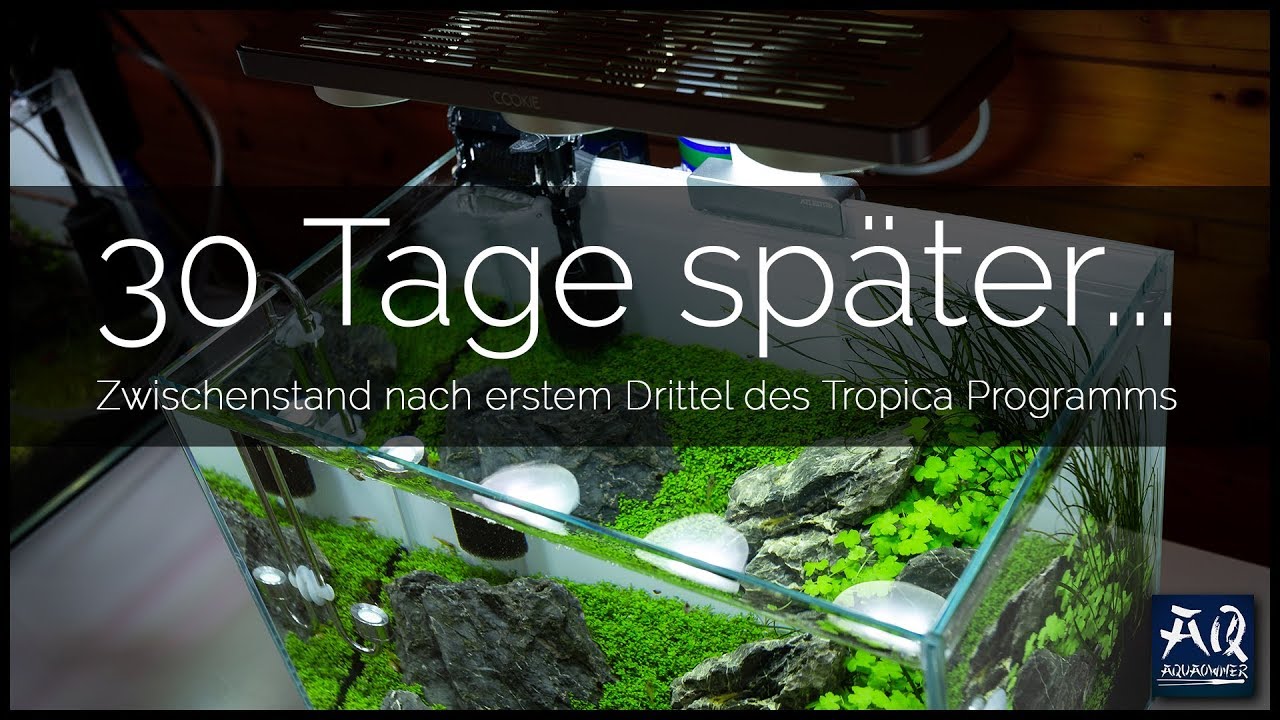 Ein Monat mit dem 90-Tage-Programm | AquaOwner