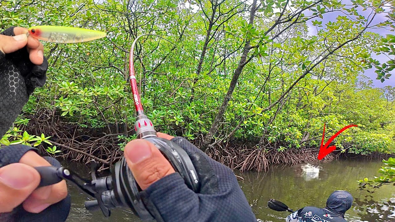 TOP WATER EXPLOSION ..!!! CASTING MANGROVE JACK DI MUARA KECIL UMPAN WTD DI SAMBAR BERTUBI-TUBI