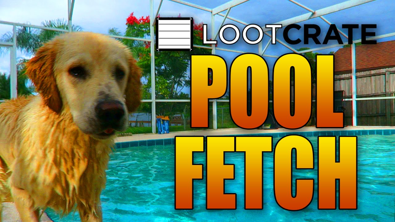 LOOT CRATE POOL FETCH w/ COOPER! (September Edition - Summon)