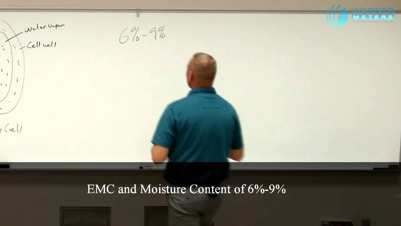 The Relationship between Relative Humidity and Moisture Content