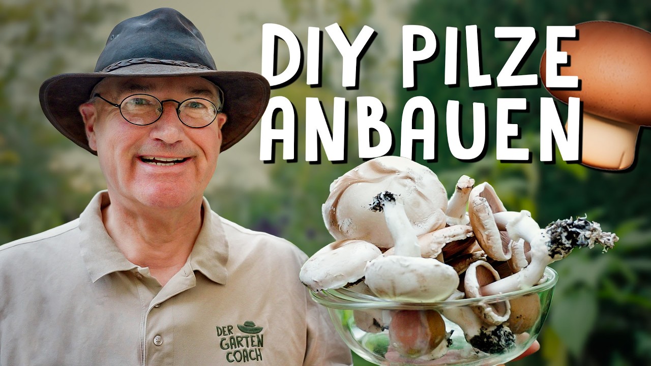 Pilze in der Wohnung anbauen 🍄‍🟫 - leichter als gedacht!