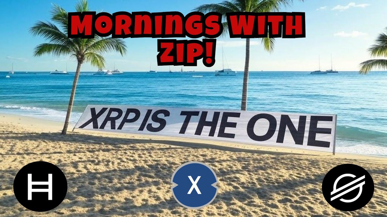 Mornings With Zip:  800K Crypto Liquidations | Ignore The Crypto Dump | Macro Positive Mindset